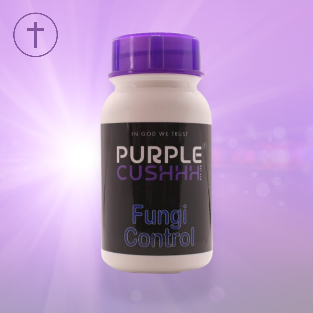 Fungi Control 60 Capsules - Natural Antifungal for Thrush, Vaginitis & Candida | Purple Cushhh SA