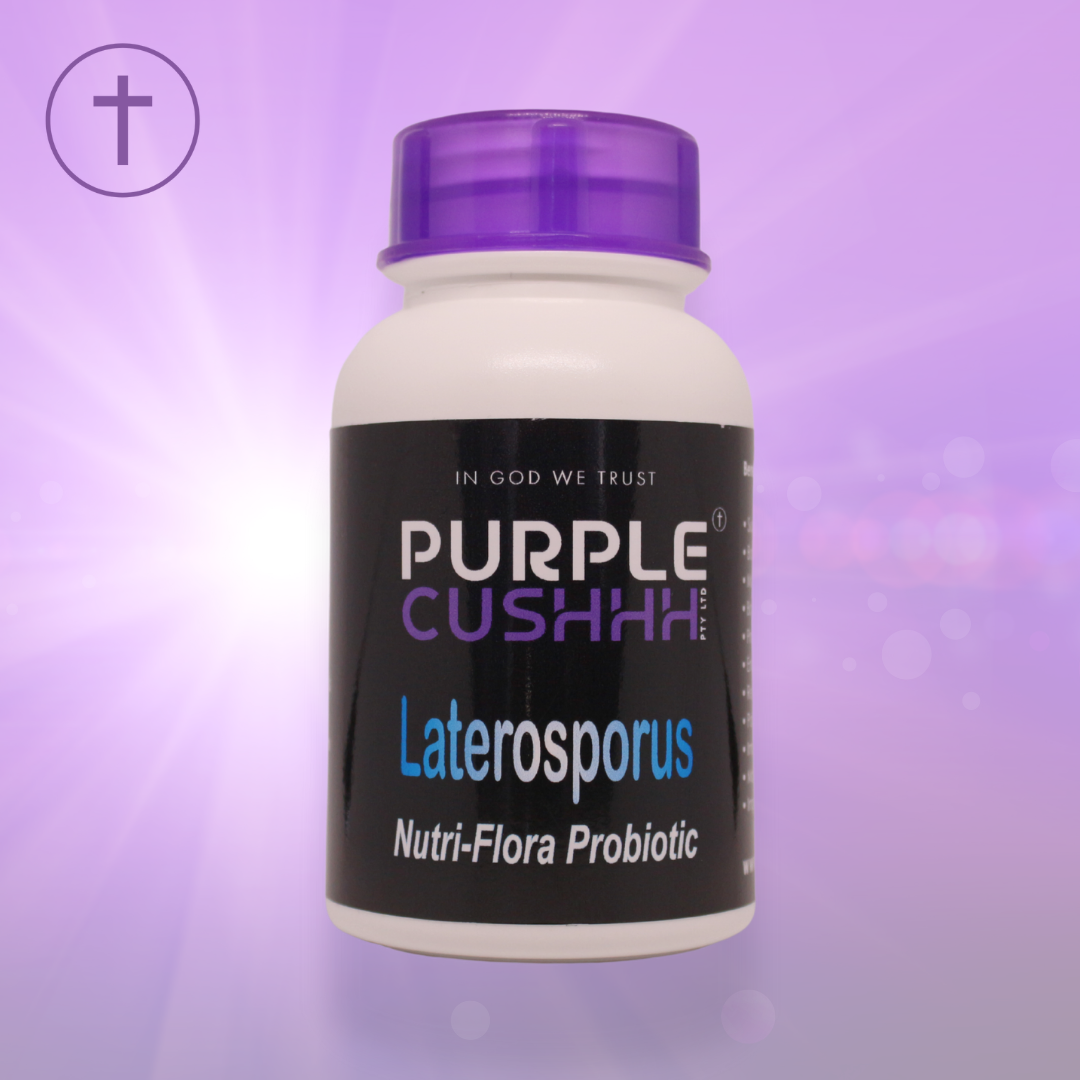 Purple Cushhh Laterosporus Nutri-Flora Probiotic - Digestive Health & Immune Support | 60 Capsules | Purple Cushhh SA