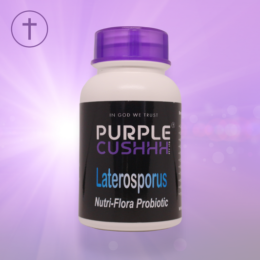 Purple Cushhh Laterosporus Nutri-Flora Probiotic - Digestive Health & Immune Support | 60 Capsules | Purple Cushhh SA