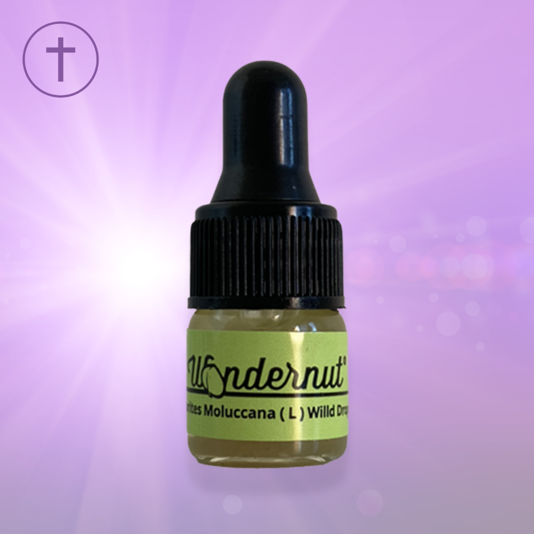 Wondernut-Alleurites-Molluccana-L-Wild-Drops-www.purplecushhh.co.za